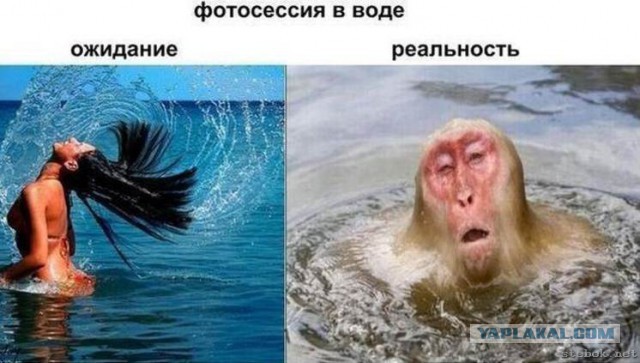 Так..картинки на понедельничек))