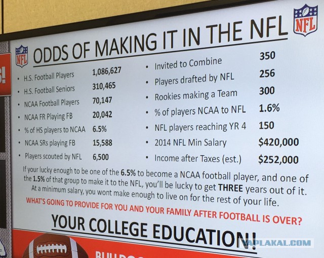 10 причин, почему я люблю Америку!