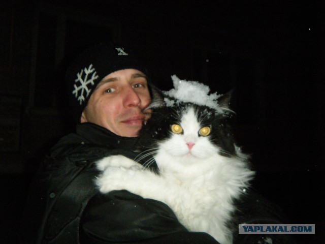 Немного охренел от такой наглости