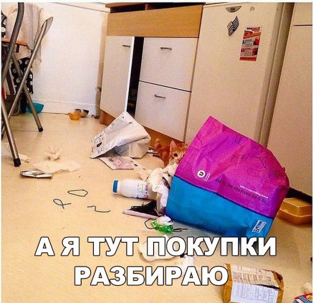 Картинки и приколы из сети