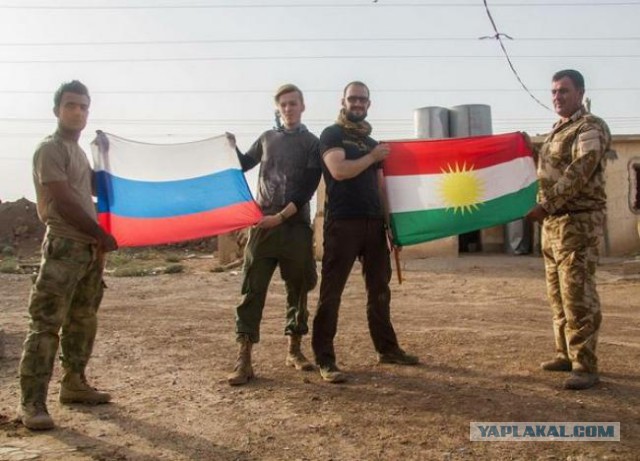 Курды: самое важное