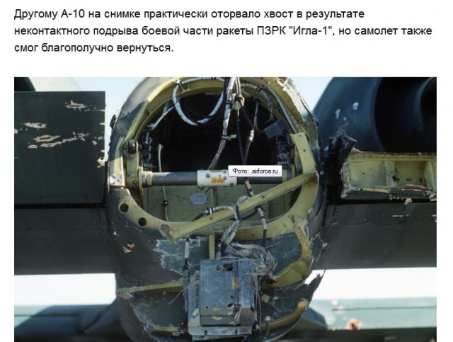 «Бородавочник» никак не уймется
