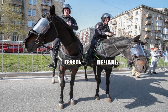 Футбол Чемпионат России 2016-17. Кубок России,РФПЛ,ФНЛ. Часть XVI