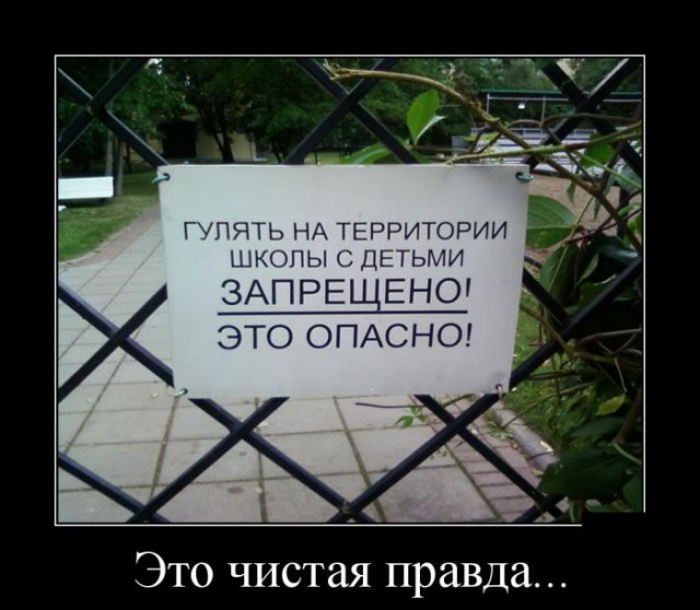 Картинки для поднятия настроения
