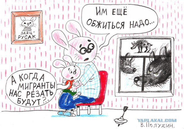 Полная версия убийства Андрея Драчева от очевидца трагического инцидента в Хабаровске