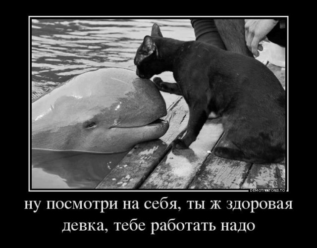Просто юмор 21