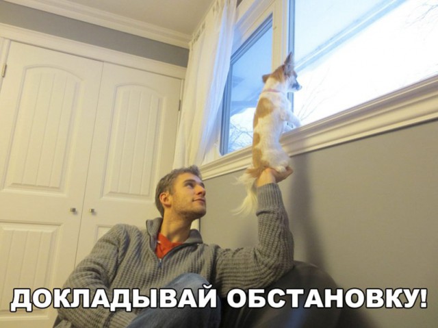 Нестандартный юмор
