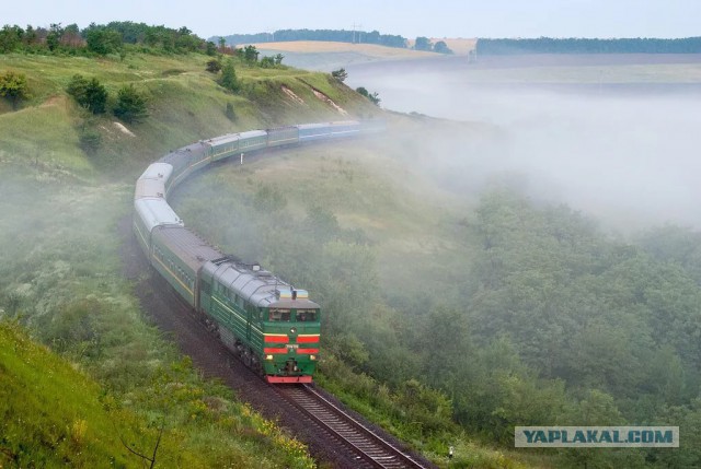 Просто одно  фото