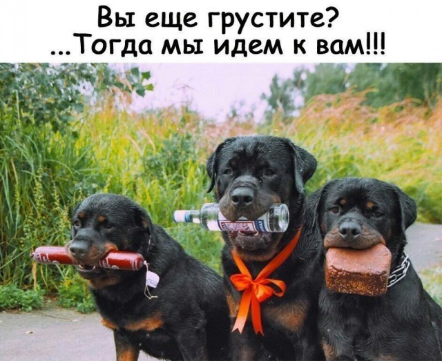 Не самый лучший день