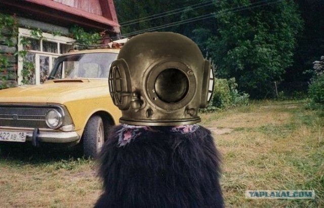 Бабушка приехала