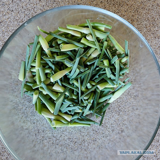 Июньское харчо!