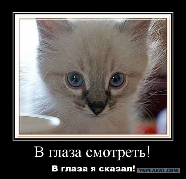 Ну вот и лето прошло