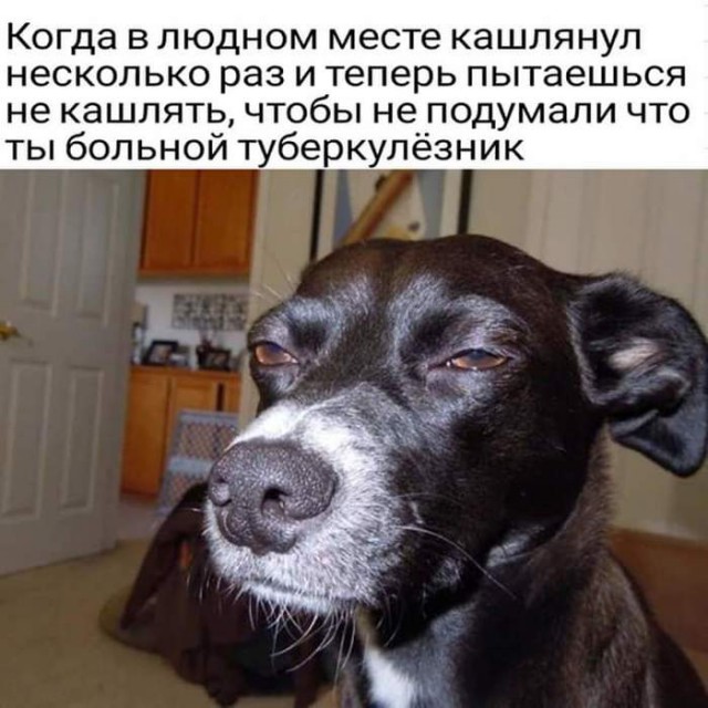 Картинки с надписями, истории и анекдоты 18.10.19