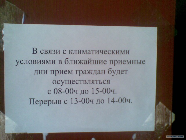 Жара - время бизнеса!