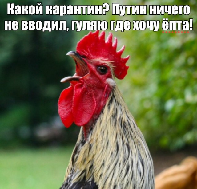 В Москве объявили всеобщий режим самоизоляции с 30 марта