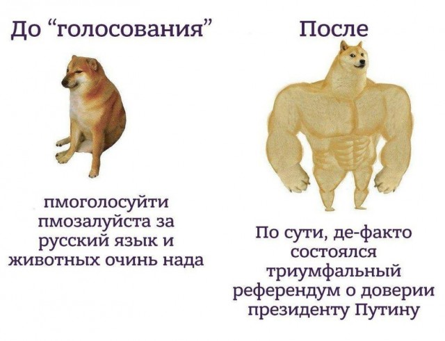Конституция. Итоги