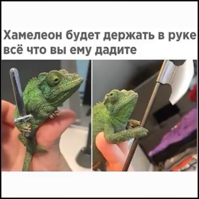 Просто добрые картинки. Всем хорошего дня!