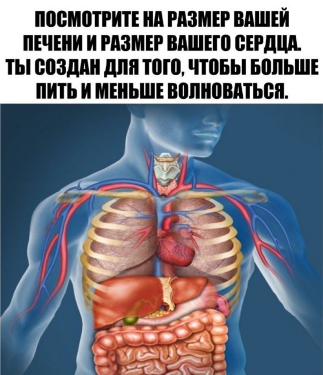 Бредзона 17.11.20
