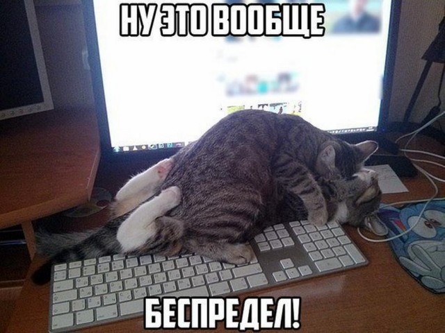 Картинки и мемы для настроения 02.02.2021