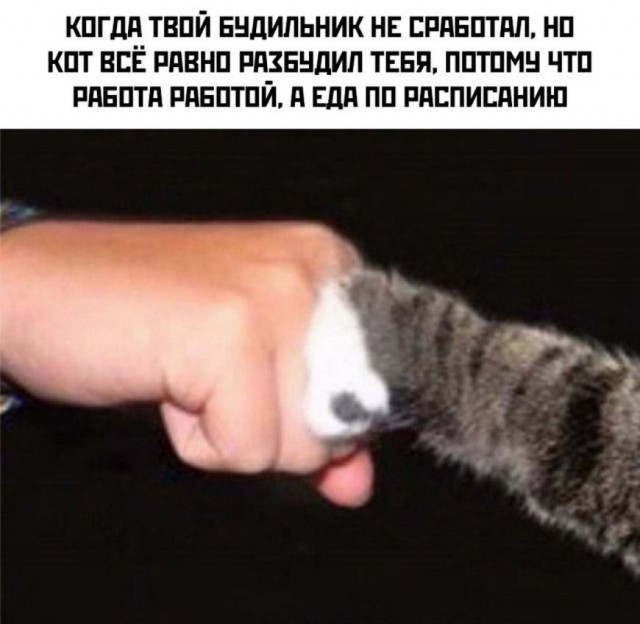 Картинки разные, для настроения