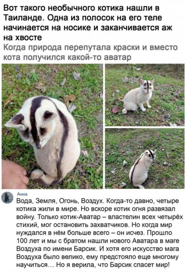 Мадам и месье, ещё раз бонжур