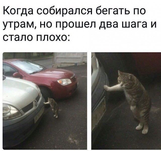 Подготовка к весенне - летнему периоду