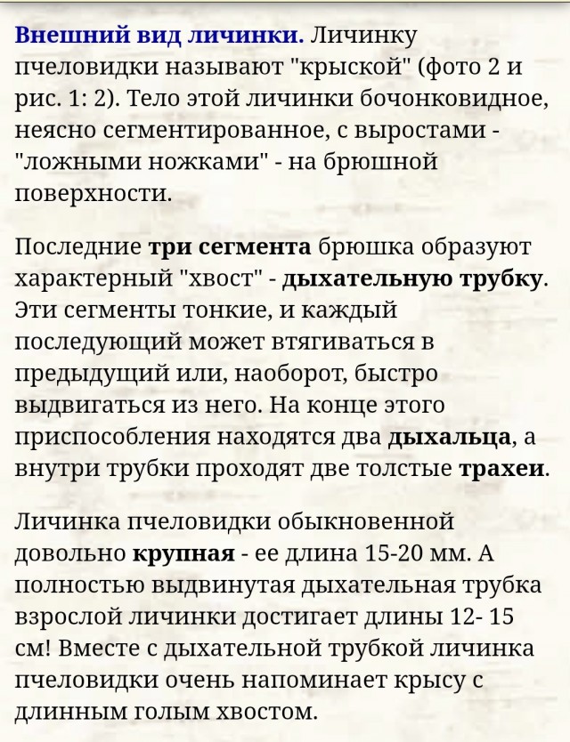 Что за неведомая ерунда?
