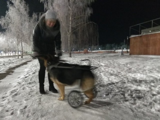 Каркасный дом. Какие подвохи ожидают неопытного?