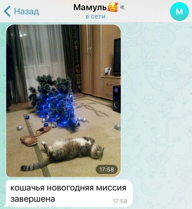 Картинки и мемы для настроения 13.12.2021