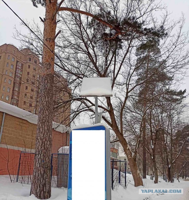 Картинки разные 05.02.2022