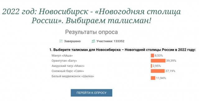 Медвежонок против орангутана: мэрию Новосибирска обвинили в коррупции на выборах новогоднего талисмана города