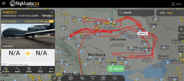 Подскажите что за "зверь" такой летает?