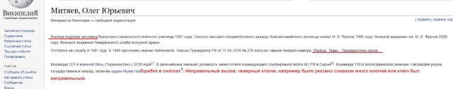 И где эта красотуля Мизулина с её Лигой безопасного интернета и прочие кушающие российский бюджет кибердружины?