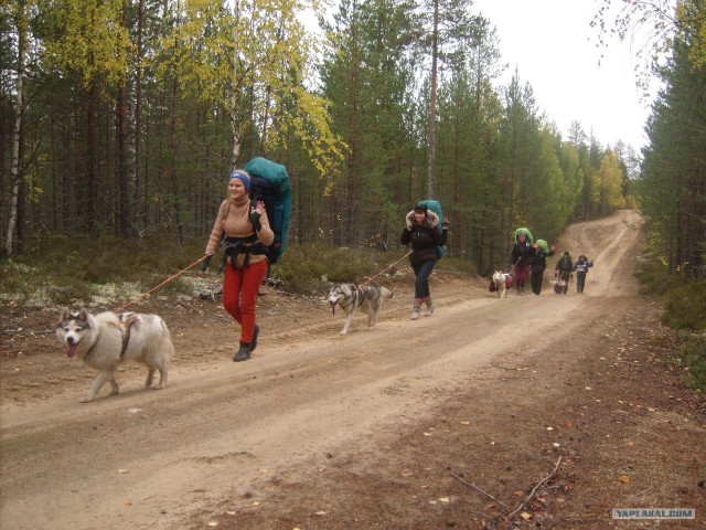 Водный поход по Карелии