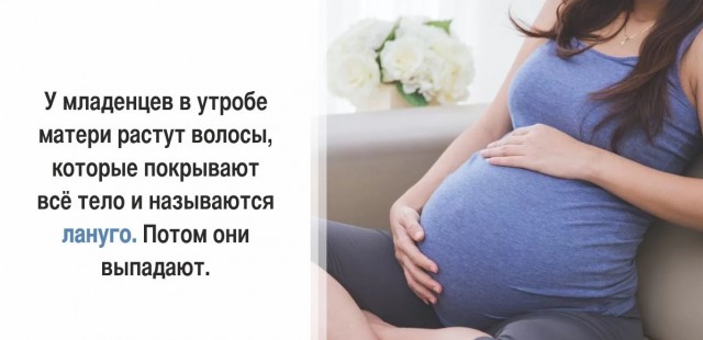 30 суровых фактов, которые пугают больше, чем фильмы ужасов