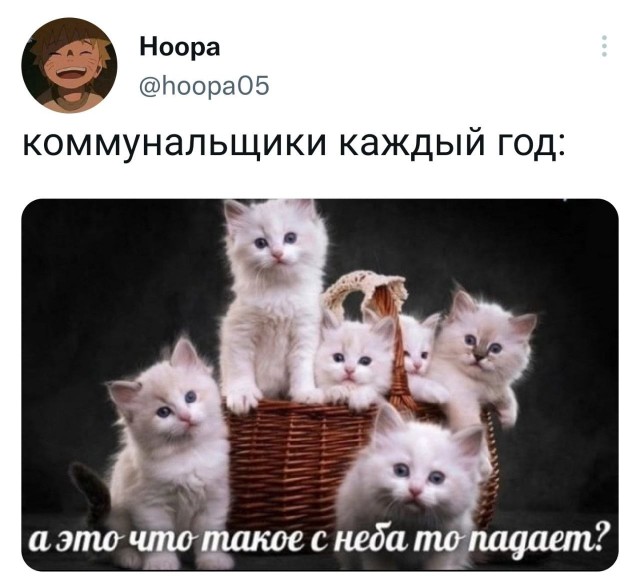 Победная поступь идиотизма по планете – том 4