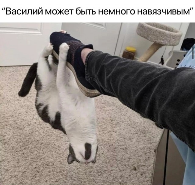 Бессистемная подборка 3