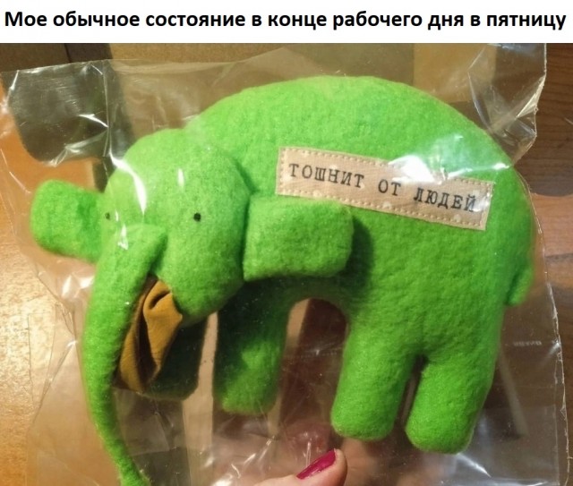 Побег от серых будней
