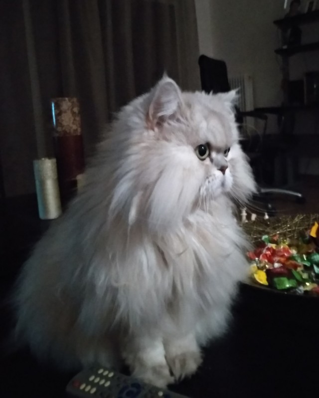 Завтракаем