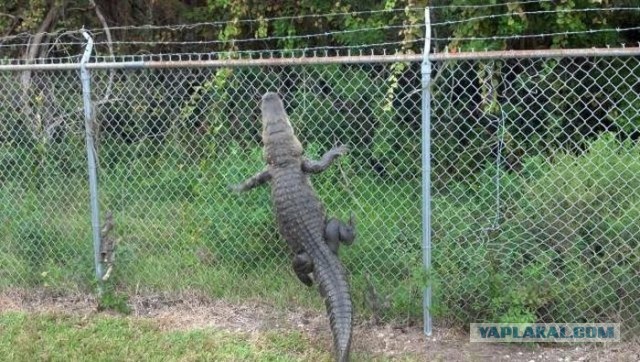 15 фото, раскрывающих природу с темной стороны, заставляя трепетать перед ее силой и грозностью