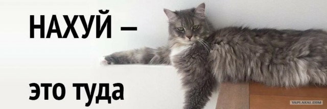Лия Ахеджакова решила высказаться за большую часть Российской Федерации.