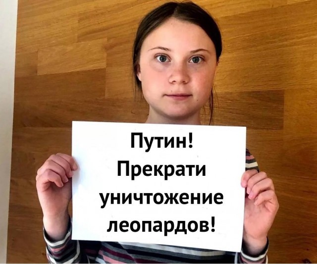 Видео уничтоженных Леопарда и Бредли