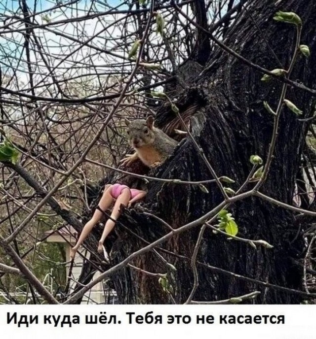 Нуштош 27.08.23