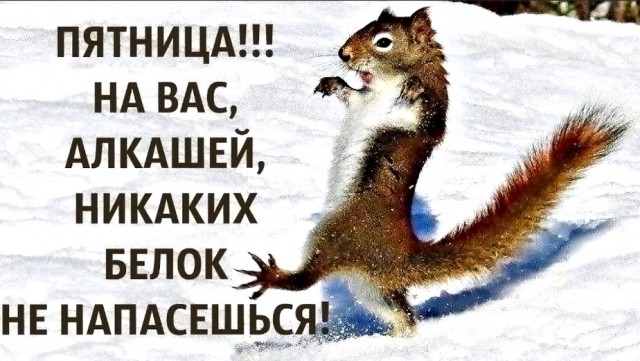 Малозарядная воскресная лента анекдотов, шутЯПок с картинками