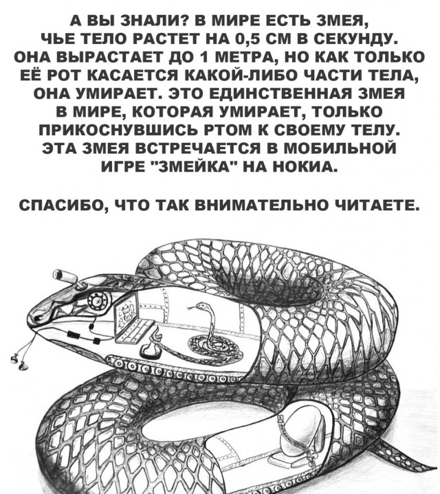 Так себе картинки 11.09.23