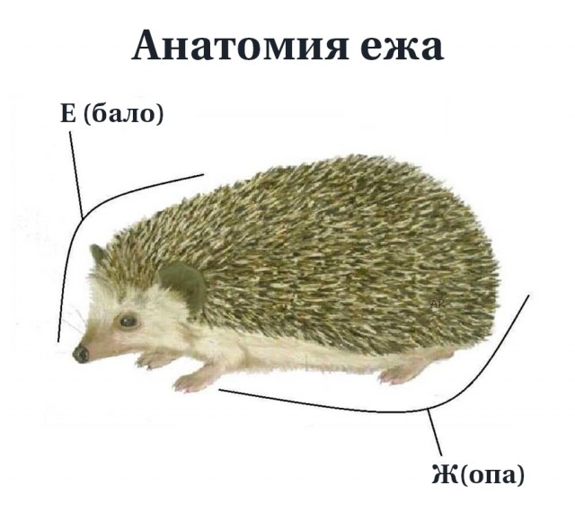 Немного картинок и прочей хреноты Vol. 26
