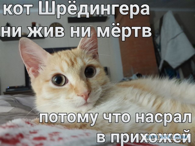 Так себе картинки 06.12.23
