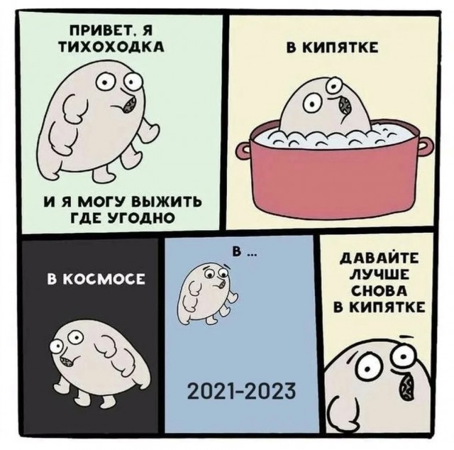 Так себе картинки 31.12.23