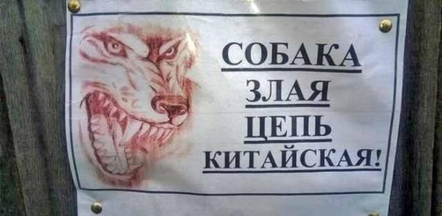 Прикольные и просто красивые картинки 28.06.2024