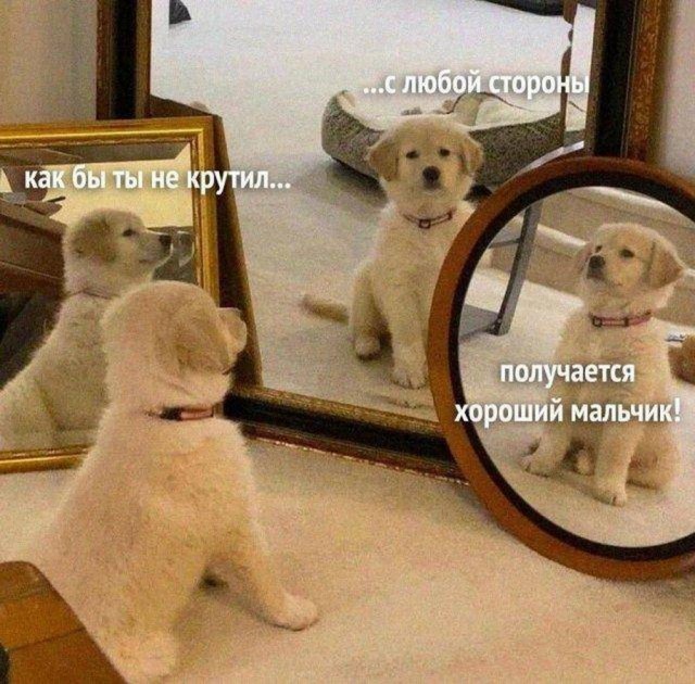Нуштош 08.08.2024